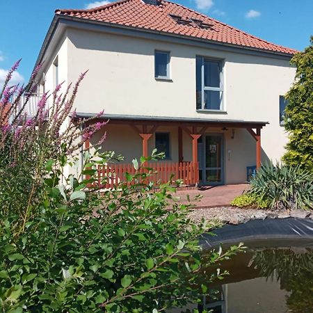 Ferienwohnung Toelle Bad Rehburg Ngoại thất bức ảnh